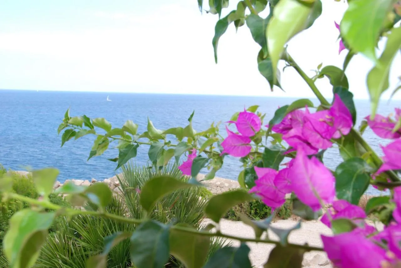 Residencial Playa Mar Apartment Cala Mandia  Cala Mandia (Mallorca)